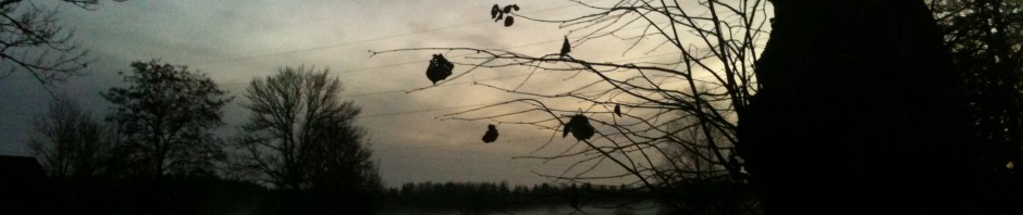 cropped-2013-11-02-16-20-29.jpg