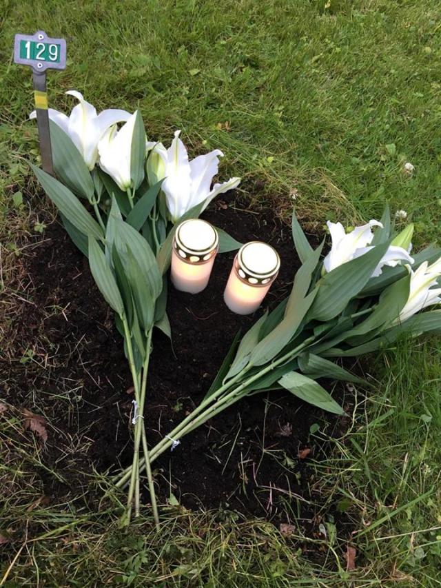 20217380_271474616664606_215040584_n