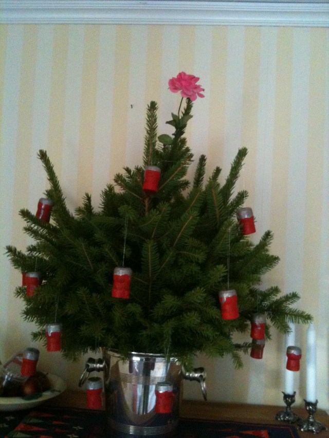 2013-12-23 11.53.34.jpg