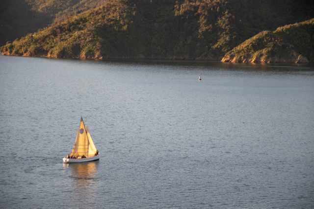 white sail boat on water near land