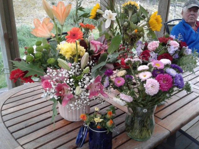 20190908_151948 (1).jpg