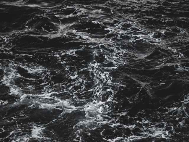 grayscale photography of sea