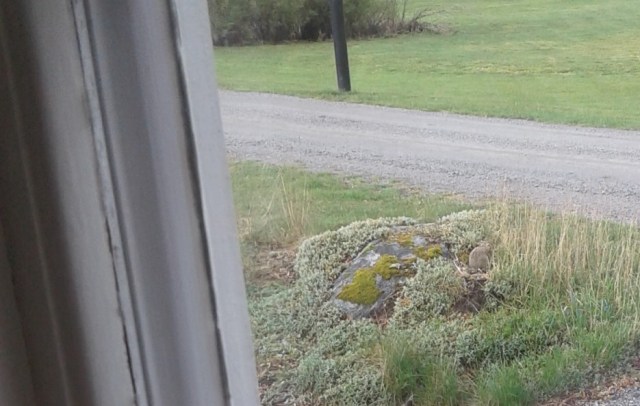 20200502_080454 (2).jpg